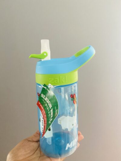 Botella minecraft